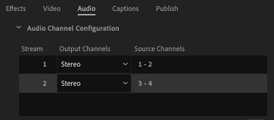 Premiere 4-Channel Audio Tab